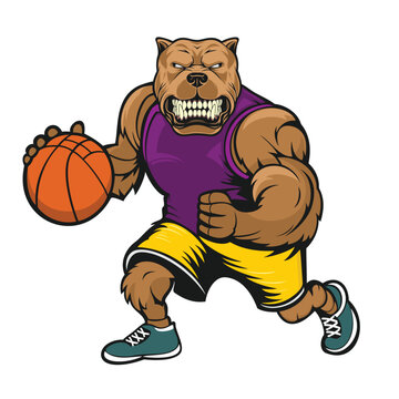 basketball mascot dog vector illustration design