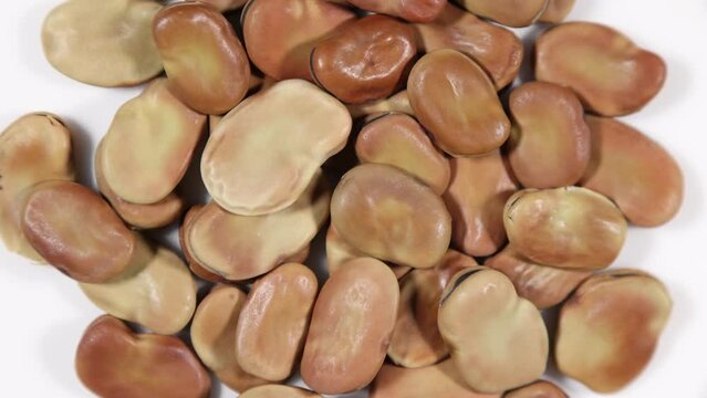 Rich golden dehydrated fava beans spinning clockwise - shallow depth of field