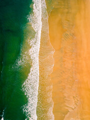 the beach of the ocean