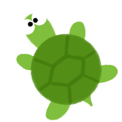 turtle