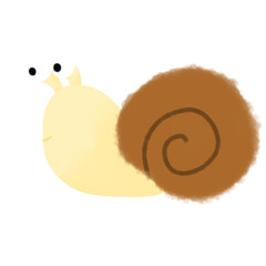 snail illustration