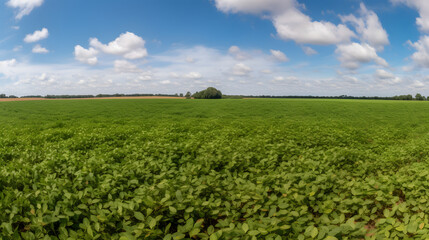 Beautiful farming fields