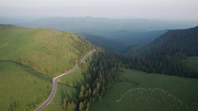 Aerial top view above Transbucegi winding road, in Transylvania	
