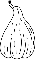 Pumpkin doodle line art. Coloring page element. Harvest Thanksgiving autumn fall