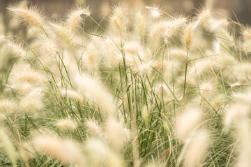 Fototapeta premium Sagrada familia church details beautiful 