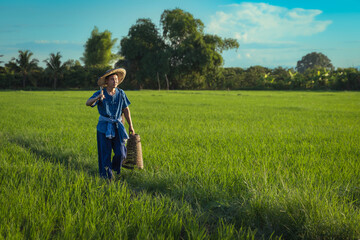 Naklejka na ściany i meble Handsome young man Asian Thai farmer in the countryside wearing Mohom local traditional clothes holding a hoe and randomly catching fish tools in a green rice field.
