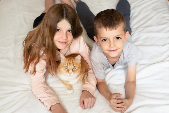 children play with the cat on the bed. a girl and a boy pose with a ginger cat for a photo. friendship between animals and humans