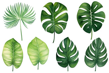 Fototapeta premium Set of tropical vector leaves. Variety. Ornamental plants. White background ,Generative AI