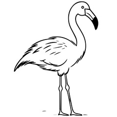 Obraz premium Flamingo chick flat vector illustration isolated on white background