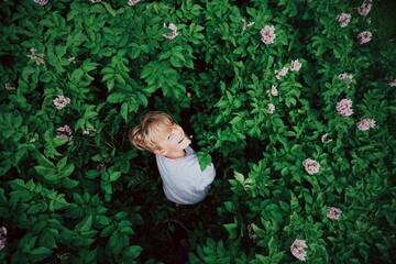 Boy in Potato Field, Looking Up, Overhead Perspective