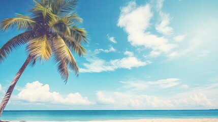 Fototapeta na wymiar Palm tree on beach next to ocean or to the sea.