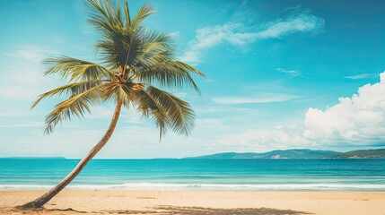 Obraz na płótnie Canvas Palm tree on beach next to ocean or to the sea.
