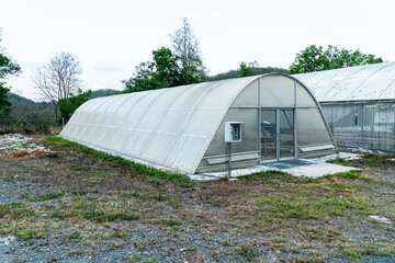White polycarbonate roof greenhouse in the garden. Curved white acrylic nursery in the garden...