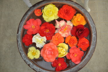 Beautiful flower display