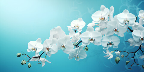White orchid, flowering stalk close-up. Daylight, light background. White Orchid Background, generative Ai - obrazy, fototapety, plakaty