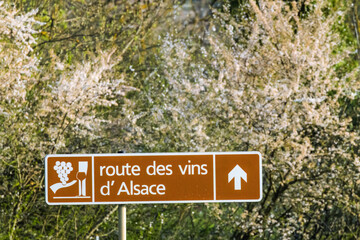 Wine road near Colmar, Alsace, France