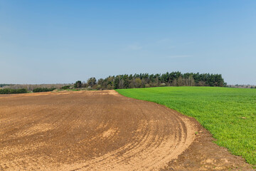 Fototapeta na wymiar the plowed soil during preparation for sowing agricultural plants