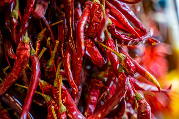 Dried chili peppers hanging in a Turkish store