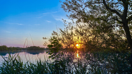 Obraz premium silhouette of tree and vegetation in front of the water. Sunrise or sunset with sunlight over the horizon. 