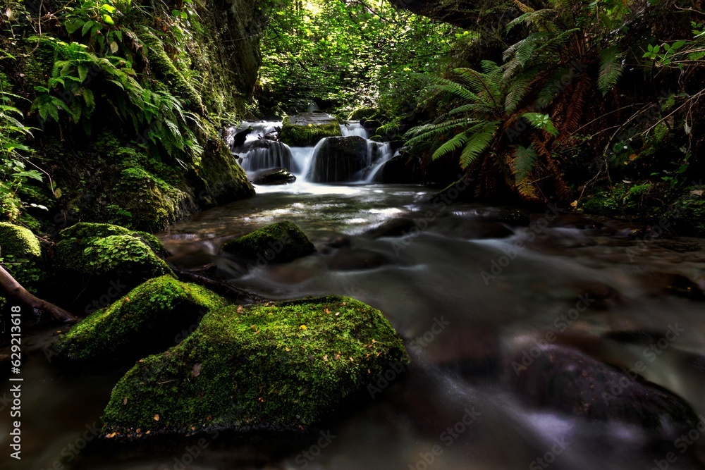 Poster tranquil stream flows gently between large rocks in the middle of a lush green forest.