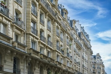 Paris, ancient buildings  - obrazy, fototapety, plakaty