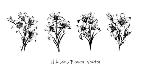 set of hibiscuses