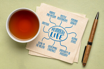 meaningful life concept - infographics or mind map sketch on a napkin with tea, personal development and growth