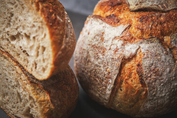 Organic sourdough bread crumb with whole wheat flour