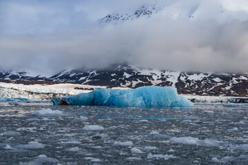 Iceberg in Svalbard