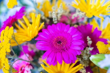 flower closeup, bunch of flowers
