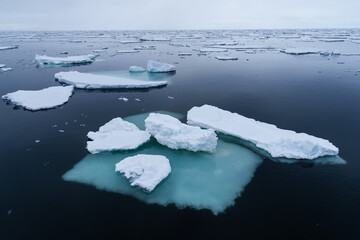Sea ice in Svalbard