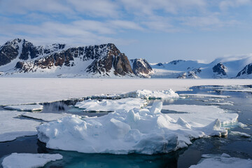Arctic Landscape in Svalbard