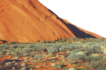 rocks in the desert. Delicate Arch isolated on white background
