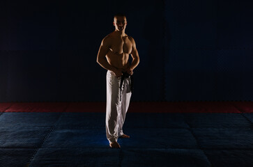 Good looking man standing at the karate studio