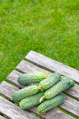 Fresh cucumbers