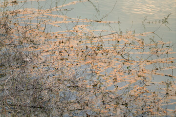 Polluted waste water from the industrial plant is drained into public river. Environmental pollution impact from industrial. 