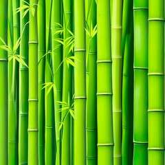 Fototapeta premium bamboo forest background