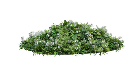 Small garden with multiple plants on transparent background