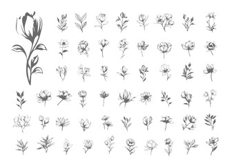 Set of aesthetic line art flowers and leaves