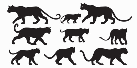 Black Tiger Silhouette vector collection