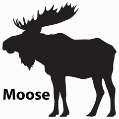 A strong Moose Silhouette Vector illustration