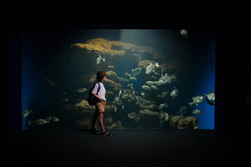 Fototapeta na wymiar Kid watching marine fish in oceanarium