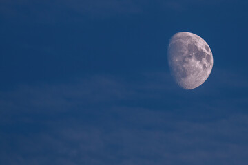 beautiful half moon on the blue clear sky