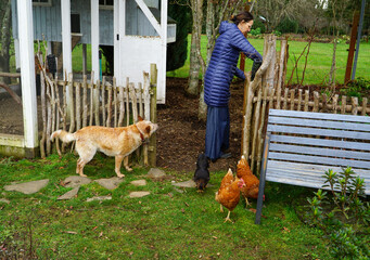 A woman opening the door of the chickens house with her dog next to her. © Capturas E