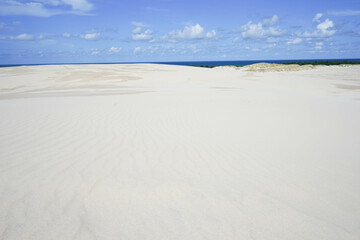 Fototapeta na wymiar Sandy dunes in Slowinski National Park in Poland. Łeba