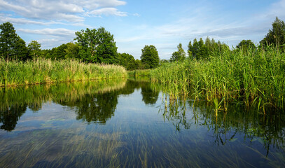 Canoeing on the Krutynia River. Krutyn - Ukta. Beautiful view of the shore 