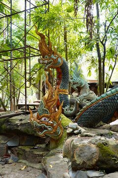 Naga , king of nagas , serpent Naga and the principal Buddha image in the temple at Wat Pa Sri Mongkhon Rattanaram ,Khok Chan Subdistrict, Uthumphon Phisai District, Sisaket Thailand , 30 July 2023