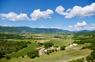 Fototapeta na wymiar Agricultural landscape in front of Mont Ventoux in Provence in France in summer.