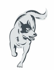 Obraz premium Siberian Husky Running Front View High Angle Retro Woodcut Style 