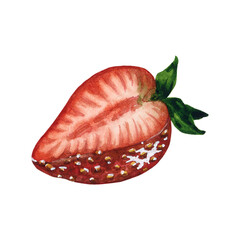 Ripe and juicy strawberry half isolated on white background, hand drawn watercolor strawberry illustration. Watercolor berries illustration for background, pattern, postcard, greeting, logo, menu